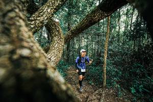 BIB: 
                            <button type="button" onclick="openModal(25394374)" class="btn btn-primary btn-sm float-right btn-popup" data-toggle="modal" data-target=".modal-high-quality">
                        <i class="fas fa-shopping-cart"></i> Add to Cart
                    </button>
                                            <button type="button" onclick="isThisMe(25394374, true)" class="btn btn-success btn-sm float-right btn-popup btn-isme hidden" data-toggle="tooltip" data-placement="bottom" title="นี่คือรูปของคุณใช่ไหม คลิกที่นี่เพื่อเอาเข้าอัลบั้ม">
                        <i class="fas fa-plus"></i> Add to album
                    </button>
                    <button type="button" onclick="isThisMe(25394374, false)" class="btn btn-warning btn-sm float-right btn-popup btn-isnotme hidden">
                        <i class="fas fa-ban"></i> Remove from album
                    </button>